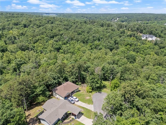 Little Dr, Bella Vista, AR 72715 - photo 14