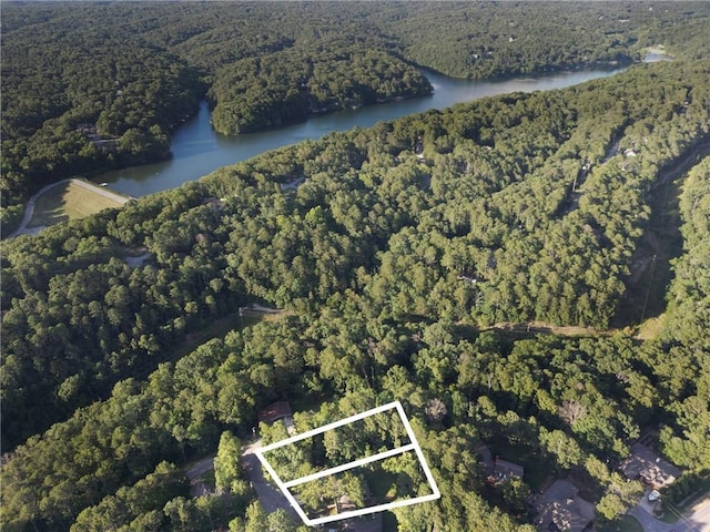 3 Burford Ln, Bella Vista, AR 72714 - photo 47