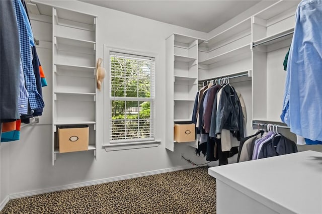 1754 N Hartford Dr, Fayetteville, AR 72701 - walk in closet with carpet