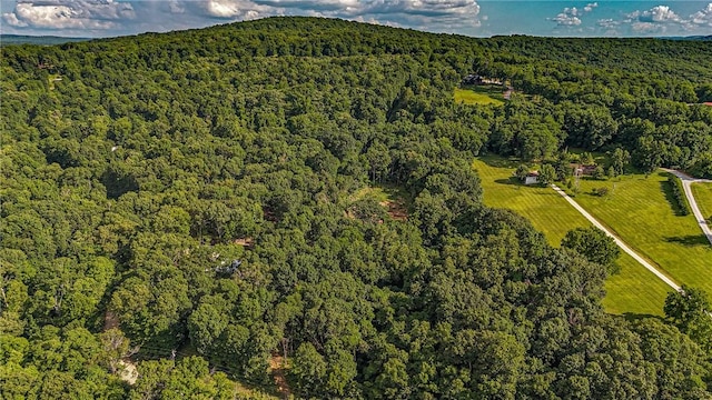 345 Mcgee Rd, West Fork, AR 72774 - photo 17