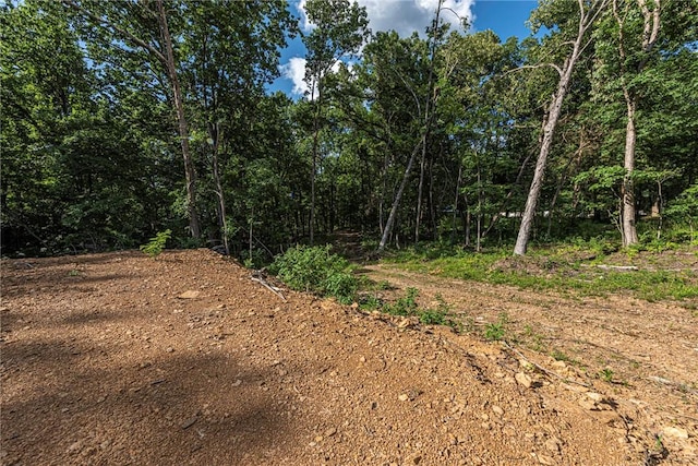 345 Mcgee Rd, West Fork, AR 72774 - photo 5