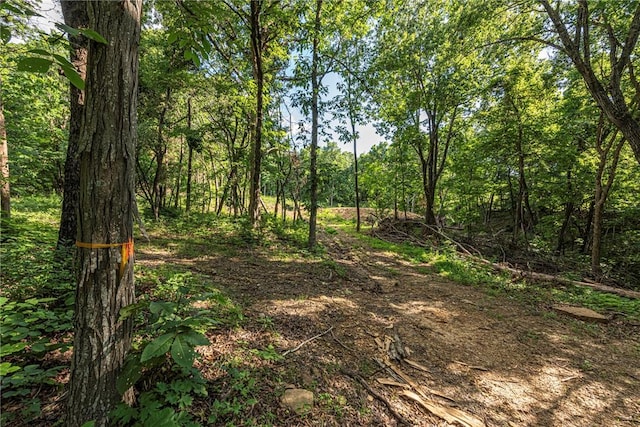 345 Mcgee Rd, West Fork, AR 72774 - photo 6
