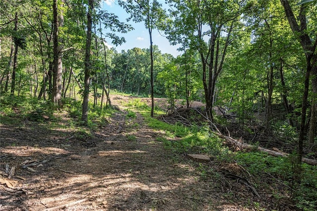 345 Mcgee Rd, West Fork, AR 72774 - photo 8