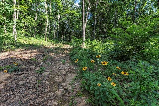 345 Mcgee Rd, West Fork, AR 72774 - photo 10