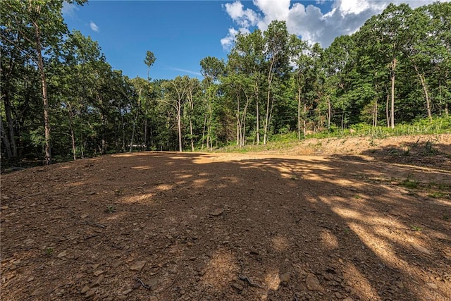 345 Mcgee Rd, West Fork, AR 72774 - photo 12