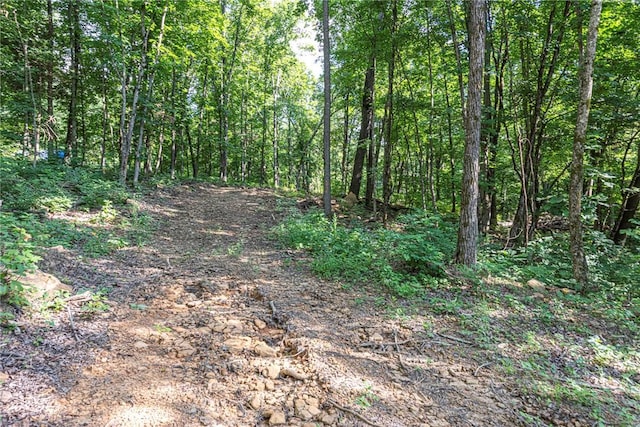 345 Mcgee Rd, West Fork, AR 72774 - photo 13