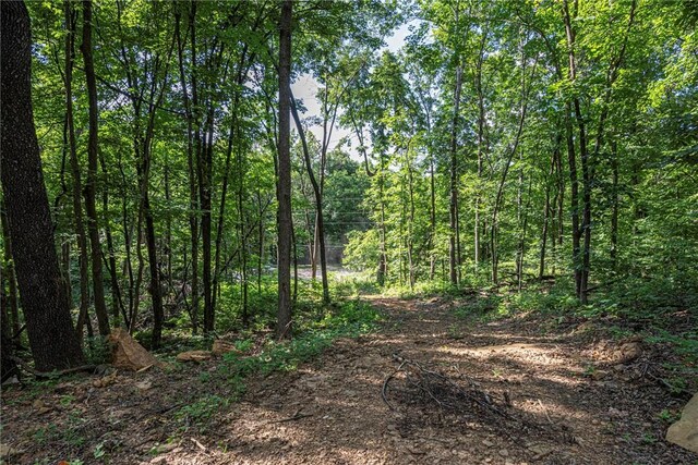 345 Mcgee Rd, West Fork, AR 72774 - photo 14