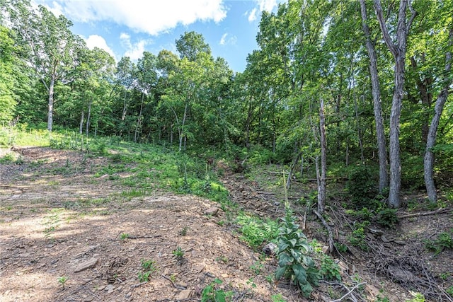 345 Mcgee Rd, West Fork, AR 72774 - photo 15