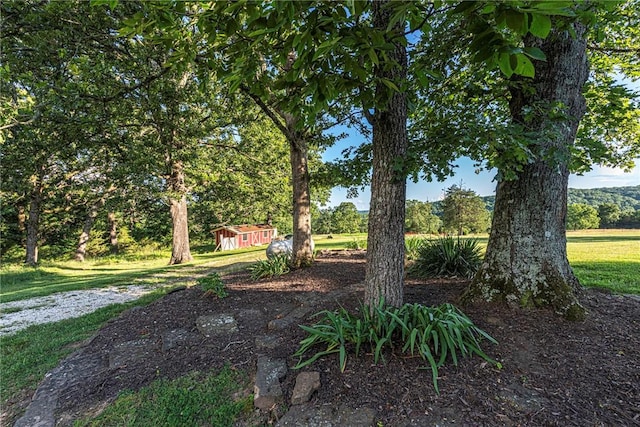16632 Bethlehem Rd, Winslow, AR 72959 - photo 53