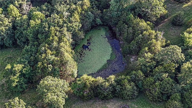 16632 Bethlehem Rd, Winslow, AR 72959 - photo 60