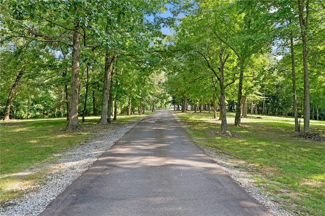 22454 E Monitor Rd, Springdale, AR 72764 - photo 3