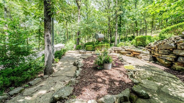 19641 Conestoga Rd, Elkins, AR 72727 - view of yard featuring a wooded view