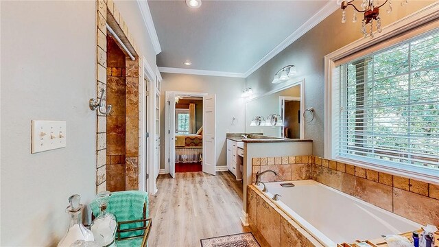 19641 Conestoga Rd, Elkins, AR 72727 - full bath featuring plenty of natural light, a bath, vanity, and ornamental molding