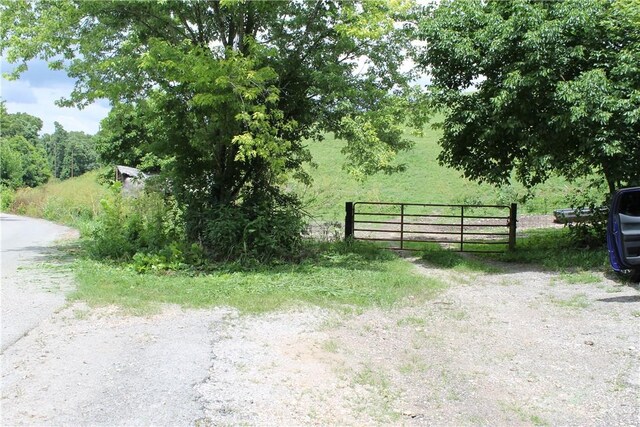 12502 Slaughter Pen Rd, Bentonville, AR 72712 - photo 7