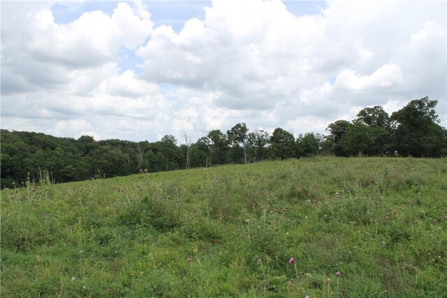 12502 Slaughter Pen Rd, Bentonville, AR 72712 - photo 14