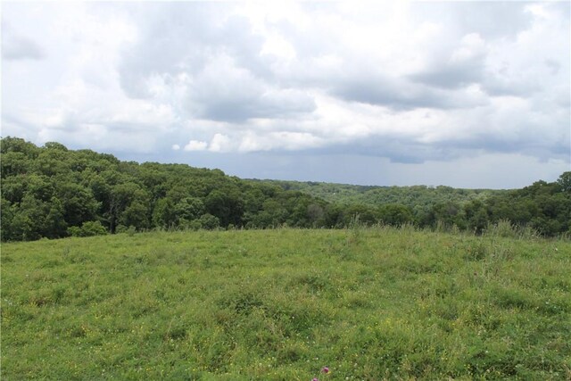 12502 Slaughter Pen Rd, Bentonville, AR 72712 - photo 15