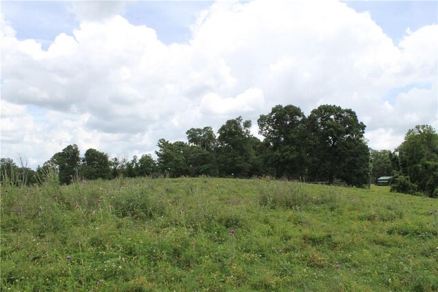 12502 Slaughter Pen Rd, Bentonville, AR 72712 - photo 16