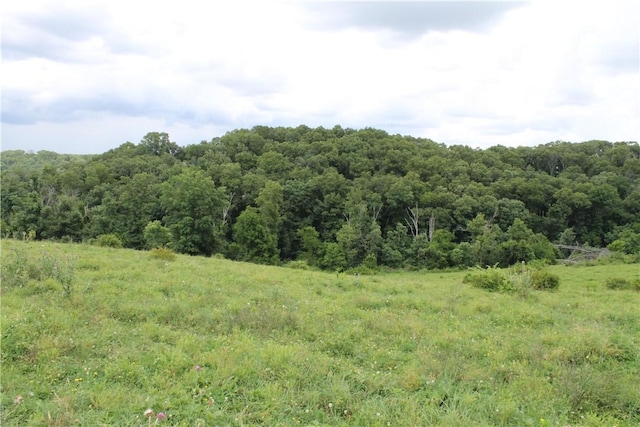 12502 Slaughter Pen Rd, Bentonville, AR 72712 - photo 18