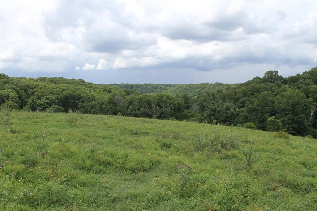 12502 Slaughter Pen Rd, Bentonville, AR 72712 - photo 19