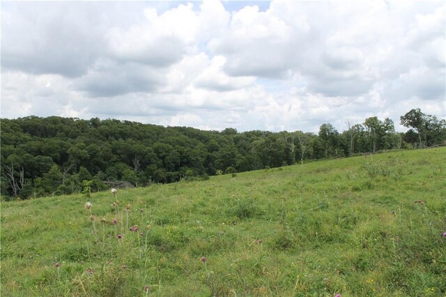12502 Slaughter Pen Rd, Bentonville, AR 72712 - photo 20