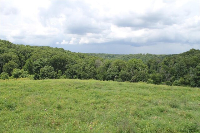 12502 Slaughter Pen Rd, Bentonville, AR 72712 - photo 21