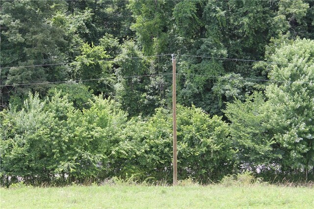 12502 Slaughter Pen Rd, Bentonville, AR 72712 - photo 22