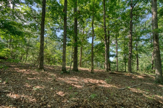 Windsong Ln, Eureka Springs, AR 72631