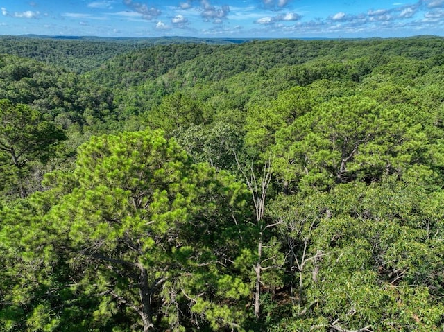 Windsong Ln, Eureka Springs, AR 72631