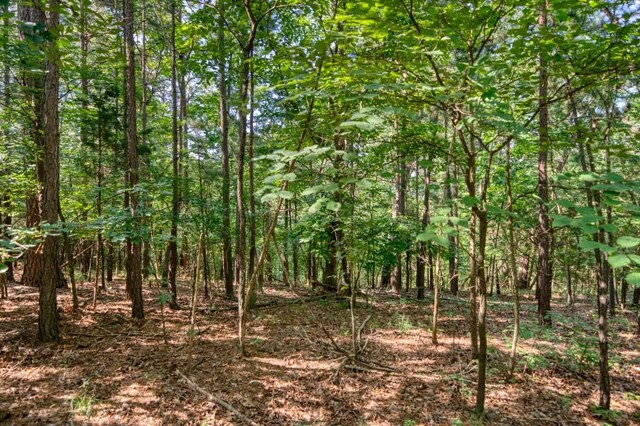 Windsong Ln, Eureka Springs, AR 72631