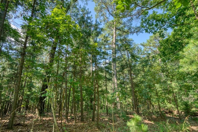Windsong Ln, Eureka Springs, AR 72631