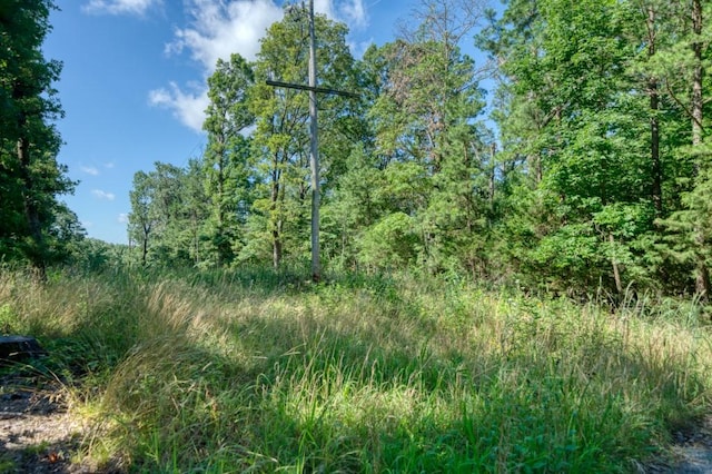 Windsong Ln, Eureka Springs, AR 72631