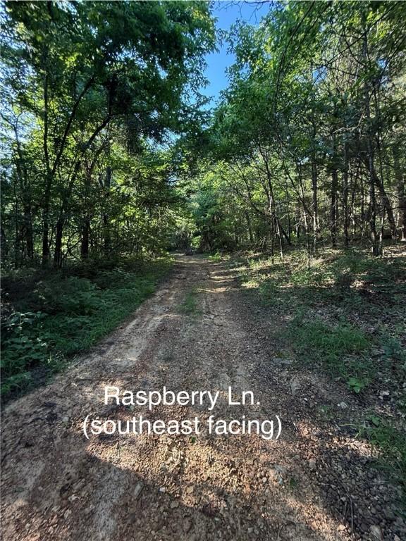 Huckleberry Cir, Rogers, AR 72756