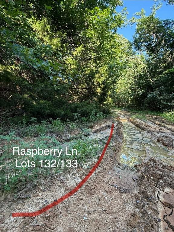 Huckleberry Cir, Rogers, AR 72756