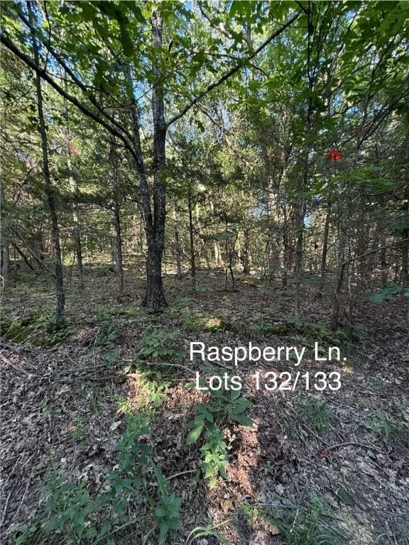 Huckleberry Cir, Rogers, AR 72756