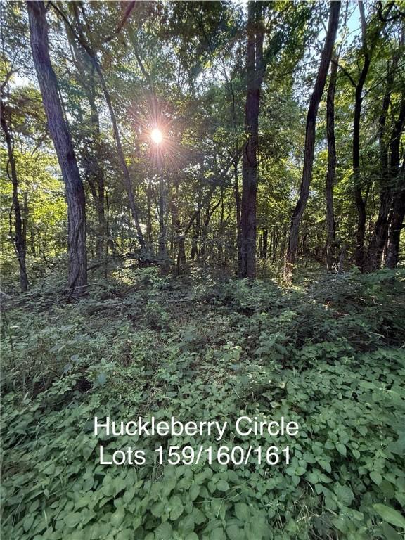 Huckleberry Cir, Rogers, AR 72756
