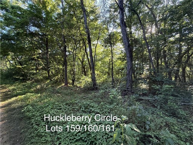 Huckleberry Cir, Rogers, AR 72756
