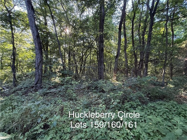 Huckleberry Cir, Rogers, AR 72756