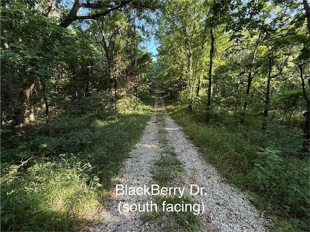 Huckleberry Cir, Rogers, AR 72756