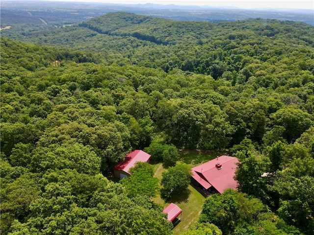 3369 County Road 207, Eureka Springs, AR 72632 - photo 2
