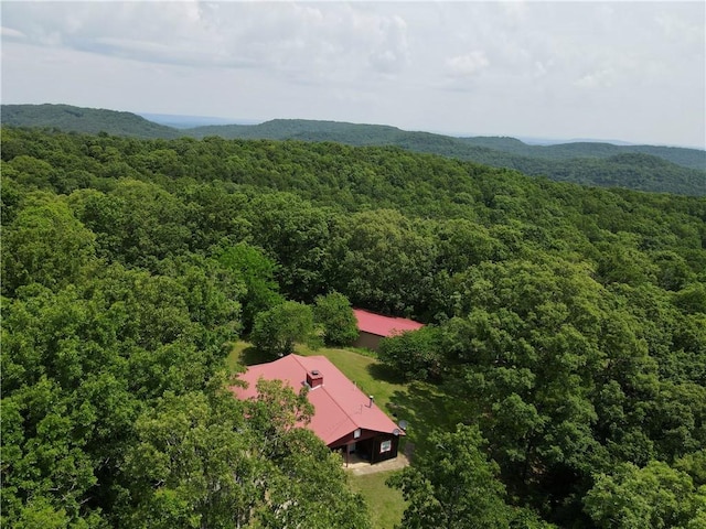 3369 County Road 207, Eureka Springs, AR 72632 - photo 3