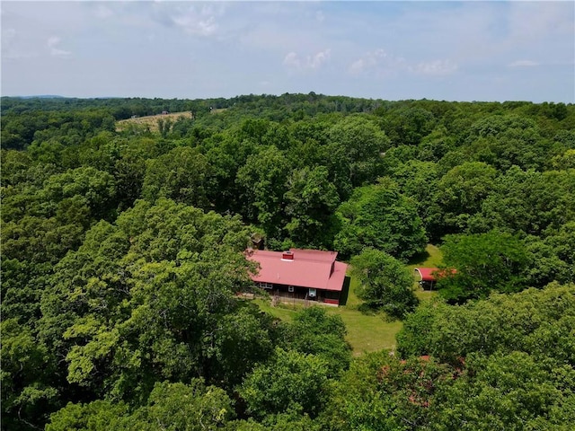 3369 County Road 207, Eureka Springs, AR 72632 - photo 4