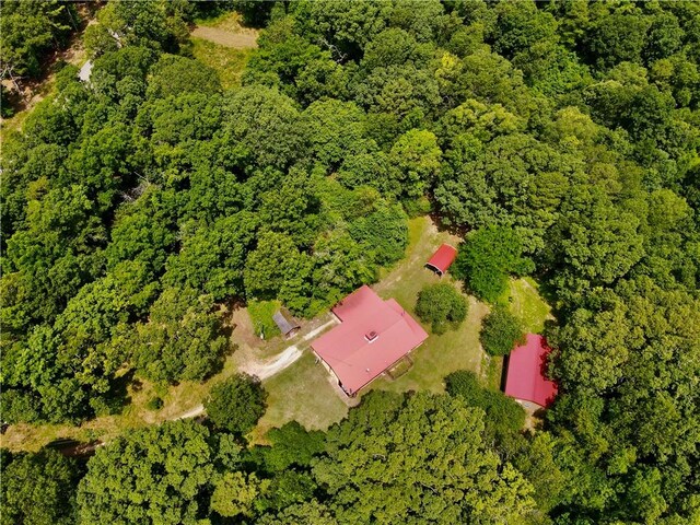 3369 County Road 207, Eureka Springs, AR 72632 - photo 5