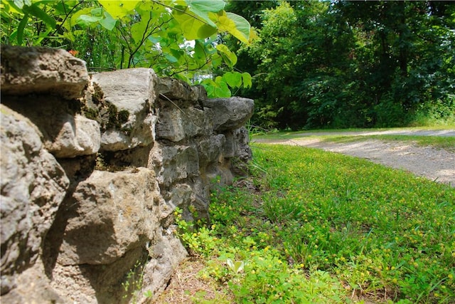 3369 County Road 207, Eureka Springs, AR 72632 - photo 8