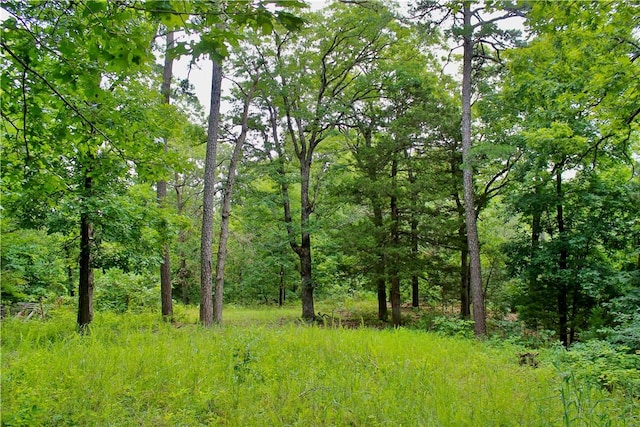 3369 County Road 207, Eureka Springs, AR 72632 - photo 50