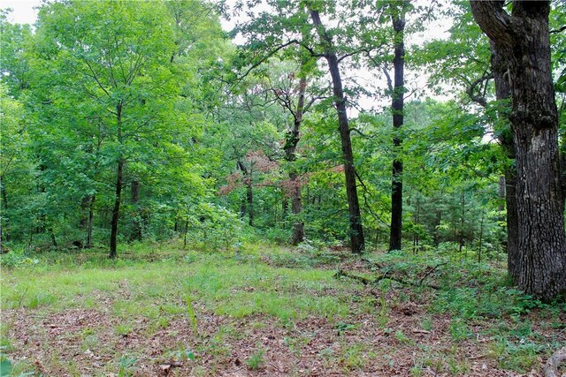 3369 County Road 207, Eureka Springs, AR 72632 - photo 51
