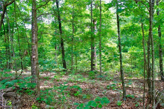 3369 County Road 207, Eureka Springs, AR 72632 - photo 52