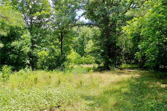 Madison 3370, Witter, AR 72776 - photo 2
