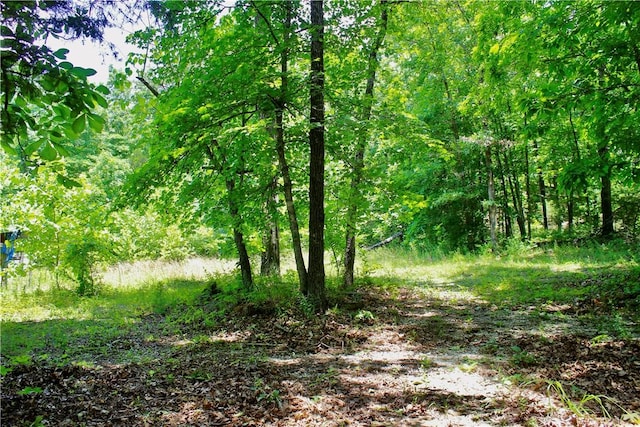 Madison 3370, Witter, AR 72776 - photo 3