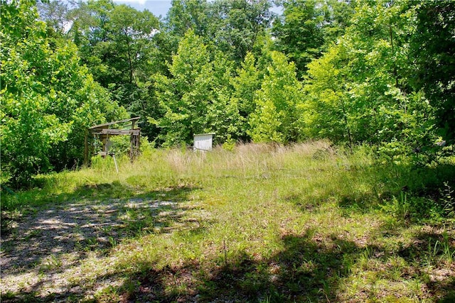 Madison 3370, Witter, AR 72776 - photo 4