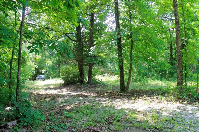 Madison 3370, Witter, AR 72776 - photo 5
